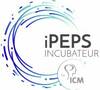 IPEPS-ICM